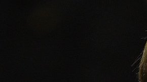 Van Gaal: soberbia y nula autocrítica.