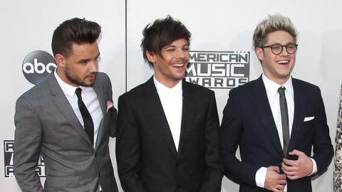 ¿Será este el fin de One Direction?