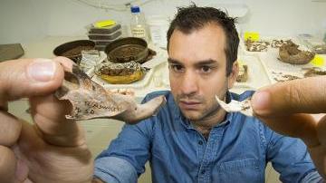 El Dr Julien Louys de la Facultad de Cultura, Historia e Idiomas de la Universidad Nacional de Australia, quien codirige este proyecto asegura que son las ratas más grandes que han existido.