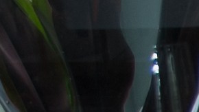 Barbara Bermudo parranda table preparation