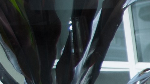 Barbara Bermudo parranda table preparation