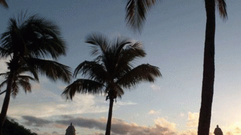 _caribe_bbc