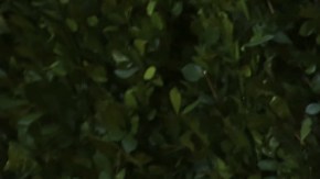 El cantante se encuentra ahora en un buen momento y acaba de presentar nueva música.