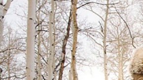 'The Hateful Eight' ya se proyecta en cines selectos del país.