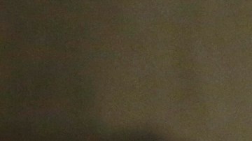 La presidenta brasileña, Dilma Rousseff.