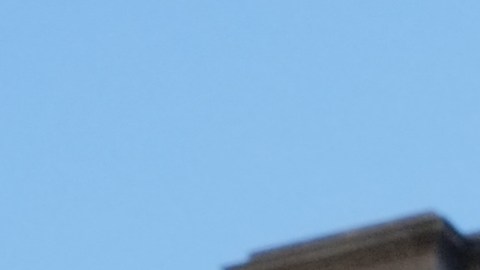 Los freelancers se manifestaron ayer en las escalinatas del ayuntamiento./Cortesía