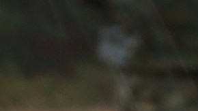 Mujeres Marines se entrenan en tiro durante un campamento en   MCRD Parris Island, South Carolina. Ahora las mujeres podrán ocupar cualquier  posición de combate en las Fuerzas Armadas de EEUU.
