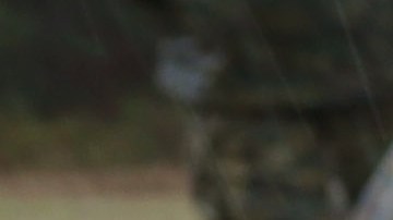 Mujeres Marines se entrenan en tiro durante un campamento en   MCRD Parris Island, South Carolina. Ahora las mujeres podrán ocupar cualquier  posición de combate en las Fuerzas Armadas de EEUU.