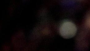 Pavel Srnicek: un portero de oficio.