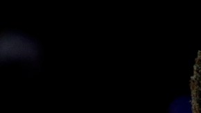 Stephen Curry se perfila para ganar su segundo MVP al hilo.