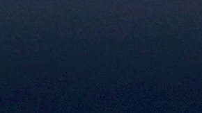 Cam Newton y sus Panthers pueden ser el primer equipo clasificado a los playoffs este domingo.