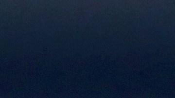 Cam Newton y sus Panthers pueden ser el primer equipo clasificado a los playoffs este domingo.