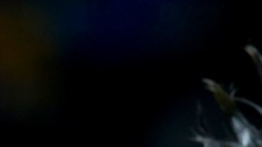 Kobe Bryant y Jeremy Lin, quien ahora juega con Charlotte, bromean durante el partido del lunes, el último de Kobe en esa ciudad.