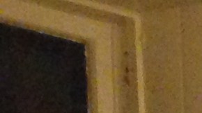 Jóvenes latinos intentan transmitir una positivo mensaje navideño  por medio del teatro.