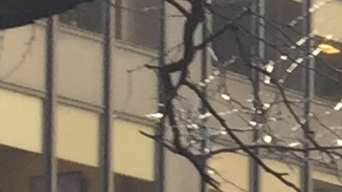 Activistas pidieron al gobernador Cuomo que restaure la educación superior en las prisiones.
Foto Crédito: Cortesía