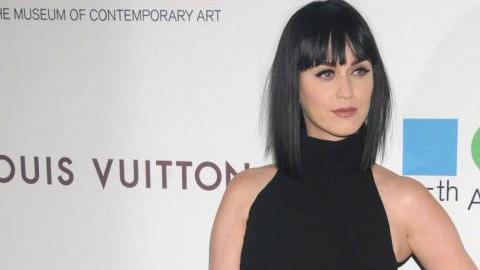 Perry fue nombrada embajadora de buena voluntad de Unicef en 2013.