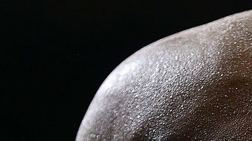 El exjugador de los Lakers quiere estar mejor por sus hijos.