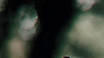 Leonardo DiCaprio recibió una nominación por 'The Revenant', dirigida por el cineasta mexicano Alejandro G. Iñárritu.