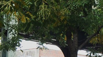 Hoy se comenzaron a instalar kioscos de Wi-Fi gratis alrededor de NYC.