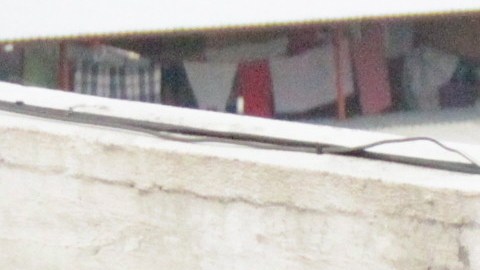 Las madres no descartan que los suyos  hayan caído en redes de trata o simplemente encontraran en la prostitución un oficio.