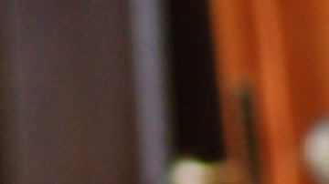 En la temporada festiva las casas con mascotas deben ser decoradas pensando en su seguridad.