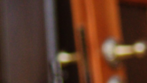 En la temporada festiva las casas con mascotas deben ser decoradas pensando en su seguridad.