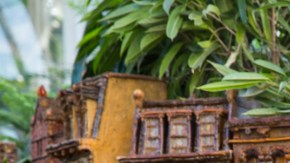 NY Botanical Garden Train Show