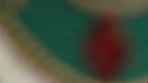 El gobernador de Puerto Rico Alejandro Garcia Padilla