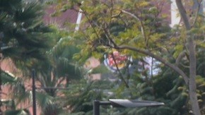 Peregrinos en la puerta principal de la Basílica de Guadalupe.