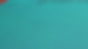 Varios medios aseguran que los candidatos republicano y demócrata "se pelean" por conseguir el apoyo de Pitbull para que apoye sus campañas, como hiciera con Obama en el 2012.