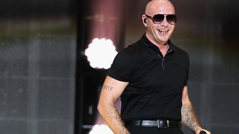El cantante Pitbull fue el encargado de poner a bailar a los invitados de la boda de Sofía Vergara.