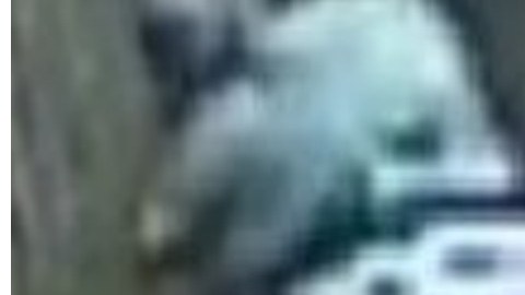 Las autoridades buscan a estos individuos por presuntamente robarle a un joven sin brazos en Staten Island.