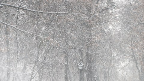 invierno