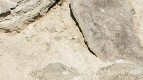 La mutilación de extremidades es algo común entre los soldados que han ido a la guerra incluyendo la pérdida de los genitales.