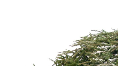 arbol navidad
