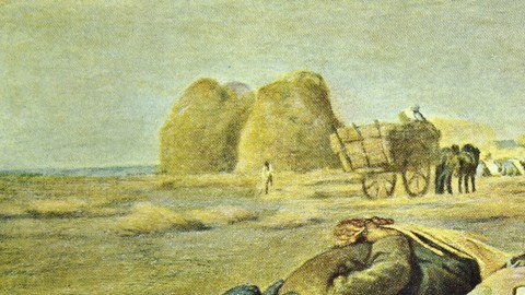 glaneuses