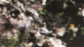 Kylo Ren es el nuevo villano de 'Star Wars'. 'The Force Awakens' ha batido numerosos récords de recaudación.