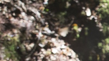 Kylo Ren es el nuevo villano de 'Star Wars'. 'The Force Awakens' ha batido numerosos récords de recaudación.