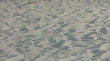 'Amy', el documental sobre la cantante Amy Winehouse, ya está disponible.