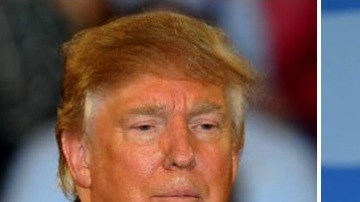 trump sanders elecciones