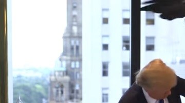 Un águila calva ataca al magnate Donald Trump durante una sesión de fotos para la revista TIME.