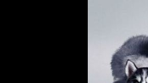 Ben Stiller en el papel de Derek.