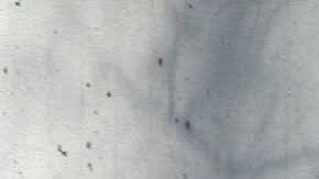 Según el reporte, de 101 refugios inspeccionados al azar, el 87% amenaza la salud de sus ocupantes.