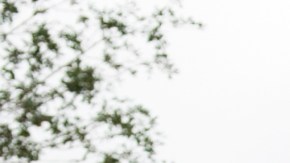 El futbolista Mexicano Javier Hernández junto con Mickey Mouse en Walt Disney World en Florida.