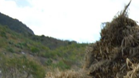 Habitantes de Quetzacoatlán, en el municipio de Zitlala, Guerrero, levantan los cuerpos de seis personas encontrados en un camino rural.