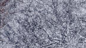 Unas personas caminan bajo una intensa nevada en los alrededores del Capitolio en Washington DC, Estados Unidos.