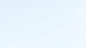 Manifestantes protestan contra el abuso policial en Cleveland.