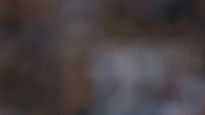 Dorlan Pabón, jugador del Monterrey mexicano, está implicado en la investigación en Italia.