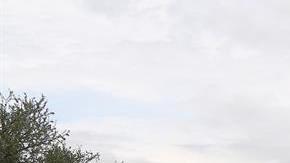 El piloto Lionel Baud (Fra.) y su copiloto Thierry Dezeiraud (Fra.) del equipo Buggi durante la tercera etapa del Rally Dakar 2016 el martes 5 de enero entre Termas de Río Hondo y Jujuy (Argentina).