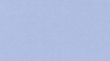 Alejandro González Iñárritu.